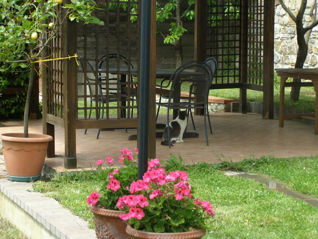 Piaggine B&B Le Grazie מראה חיצוני תמונה